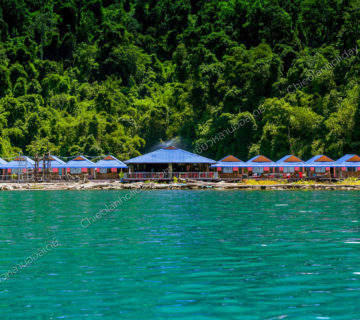 แพเชี่ยวหลานทัวร์ เขื่อนรัชชประภา แพเชี่ยวหลานทัวร์ เขื่อนรัชชประภา