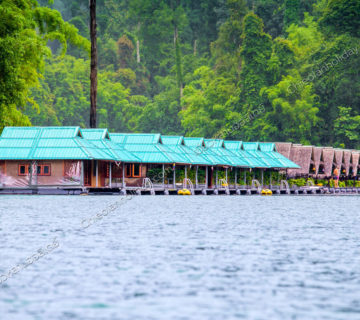 แพไพรวัลย์ เขื่อนเชี่ยวหลาน แพไพรวัลย์ เขื่อนเชี่ยวหลาน