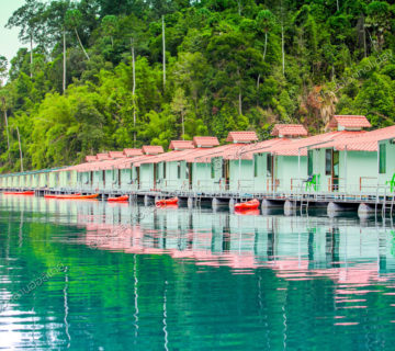 แพสมายเลย์ เขื่อนเชี่ยวหลาน แพสมายเลย์ เขื่อนเชี่ยวหลาน